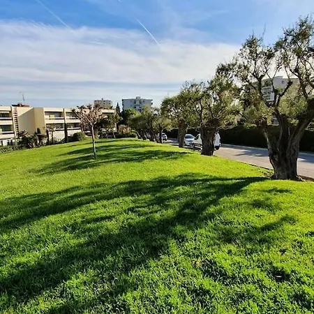 Superbe 2 Pièces Moderne Refait à Neuf, Piscine ! Appartement